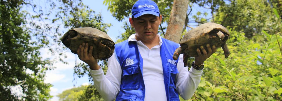 ¿Cómo le ponemos vida, color y sonido a nuestros ecosistemas en Corporinoquia?