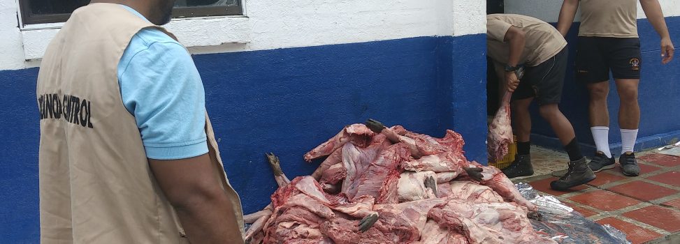 CSB Y POLICÍA AMBIENTAL DE MAGANGUÉ DECOMISAN DOS TONELADAS DE CARNE DE CHIGÜIRO