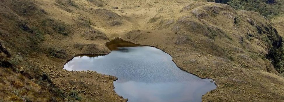 EL VALLE TIENE DOS NUEVAS ÁREAS PROTEGIDAS QUE SUMAN MÁS DE 40 MIL HECTÁREAS