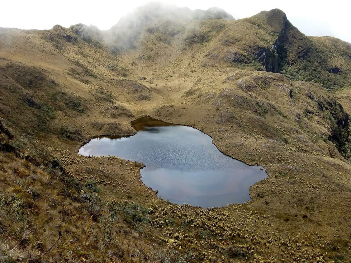 EL VALLE TIENE DOS NUEVAS ÁREAS PROTEGIDAS QUE SUMAN MÁS DE 40 MIL HECTÁREAS