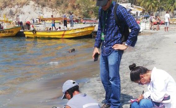 Corpamag e Invemar analizan parámetros básicos del agua en sitio de mortandad de peces en El Rodadero