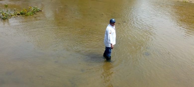 MORTANDAD DE PECES SE DEBE A BAJAS CONCENTRACIONES DE OXIGENO POR CONDICIONES METEOROLÓGICAS Y POCAS PRECIPITACIONES