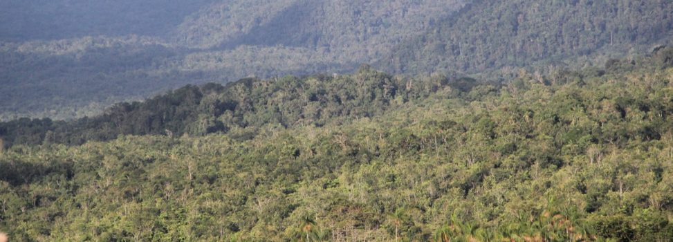 Bosque de Galilea, una riqueza ambiental donde nunca el ser humano había llegado a investigar.