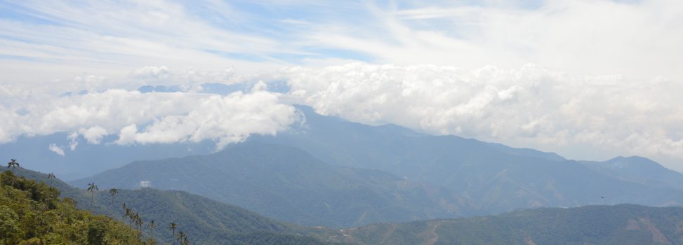 Corpamag adoptó mediante resolución los POMCAs para la Sierra y la Ciénaga