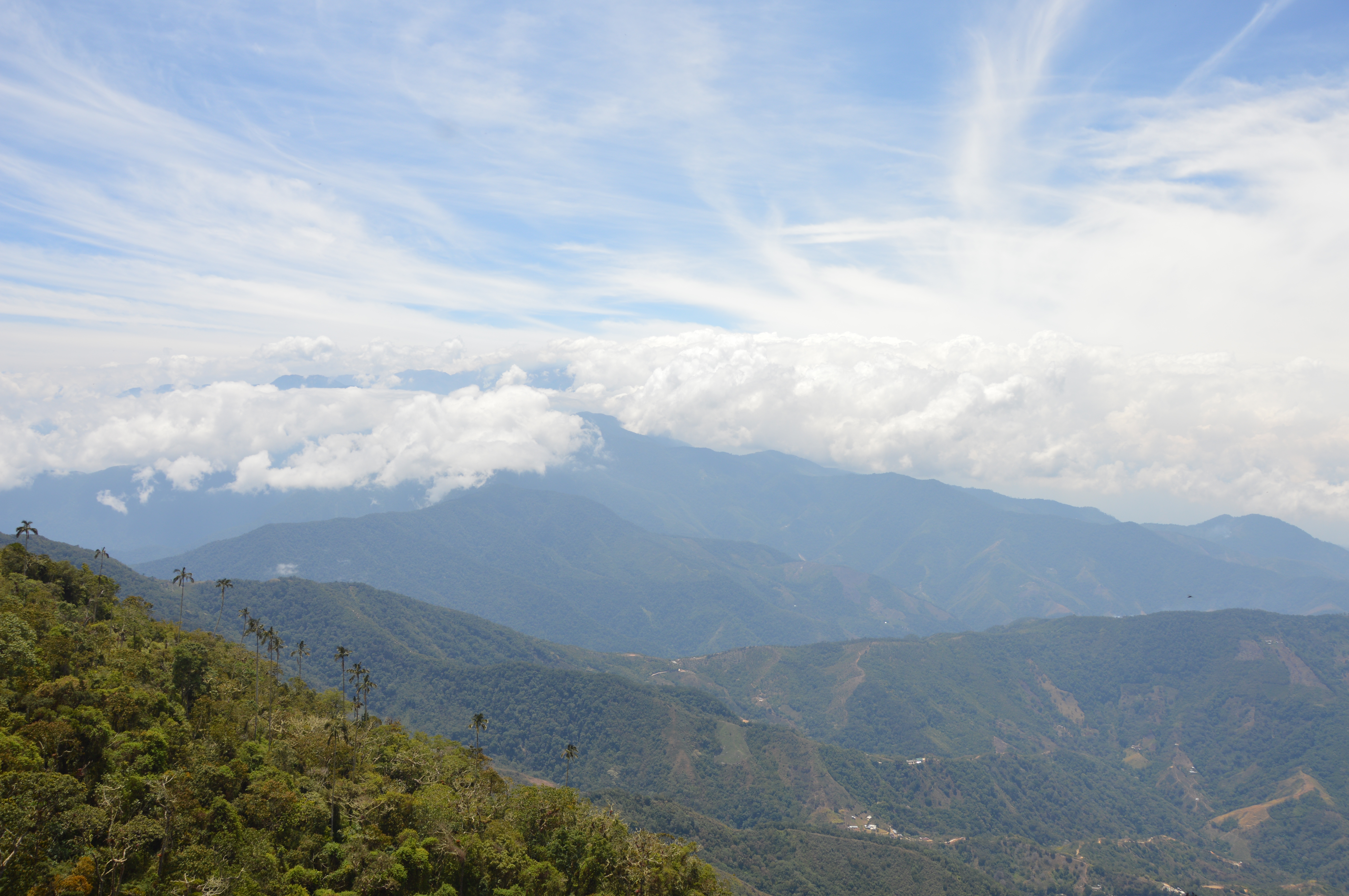 Corpamag adoptó mediante resolución los POMCAs para la Sierra y la Ciénaga