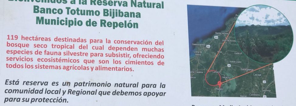 Áreas Protegidas del Atlántico se amplían a 7 mil Hectáreas de Bosque Seco Tropical