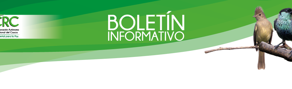 CRC hace seguimiento a fallo del Consejo de Estado sobre protección de rondas hídricas por parte de Cartón de Colombia