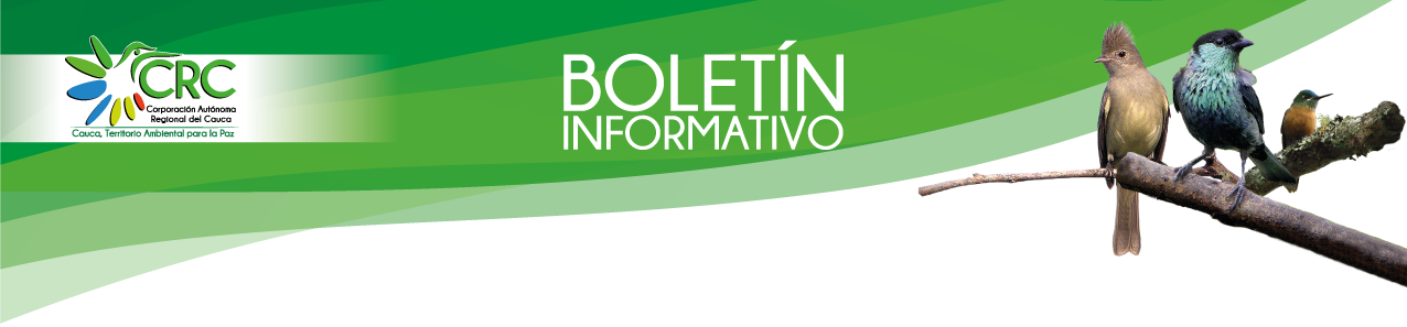 CRC hace seguimiento a fallo del Consejo de Estado sobre protección de rondas hídricas por parte de Cartón de Colombia