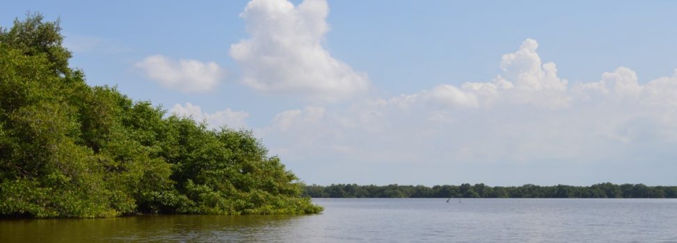 Corpamag y Procuraduría presiden Primera Mesa Nacional Ambiental de Restitución de Tierras