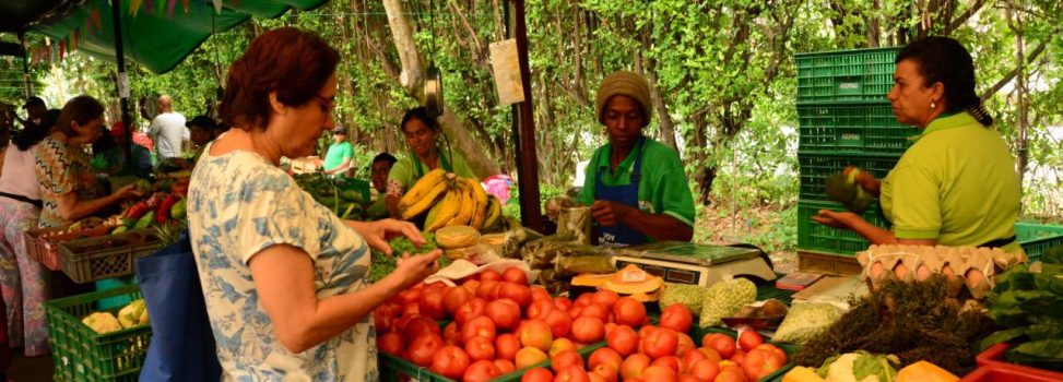 Los Negocios Verdes se toman al Valle del Cauca en Bioexpo 2019