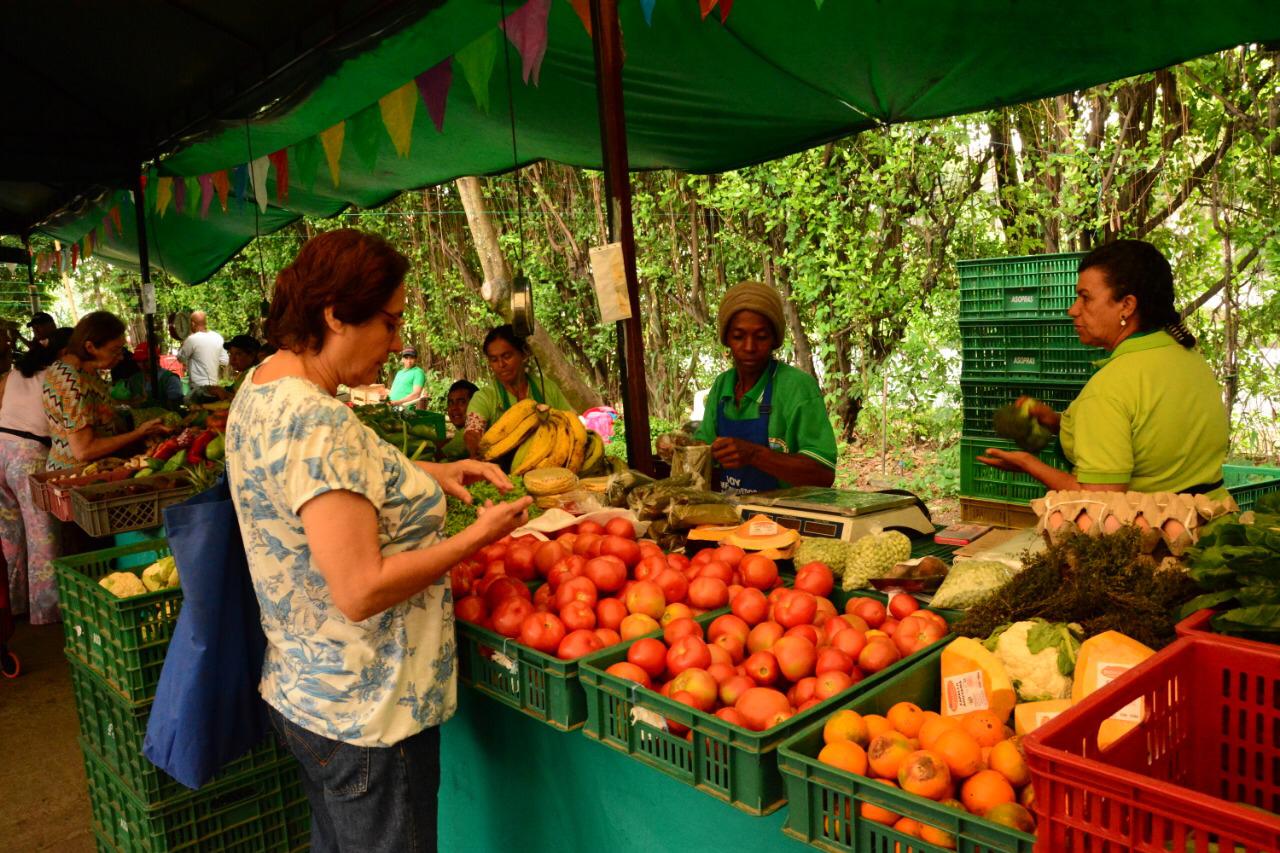 Los Negocios Verdes se toman al Valle del Cauca en Bioexpo 2019