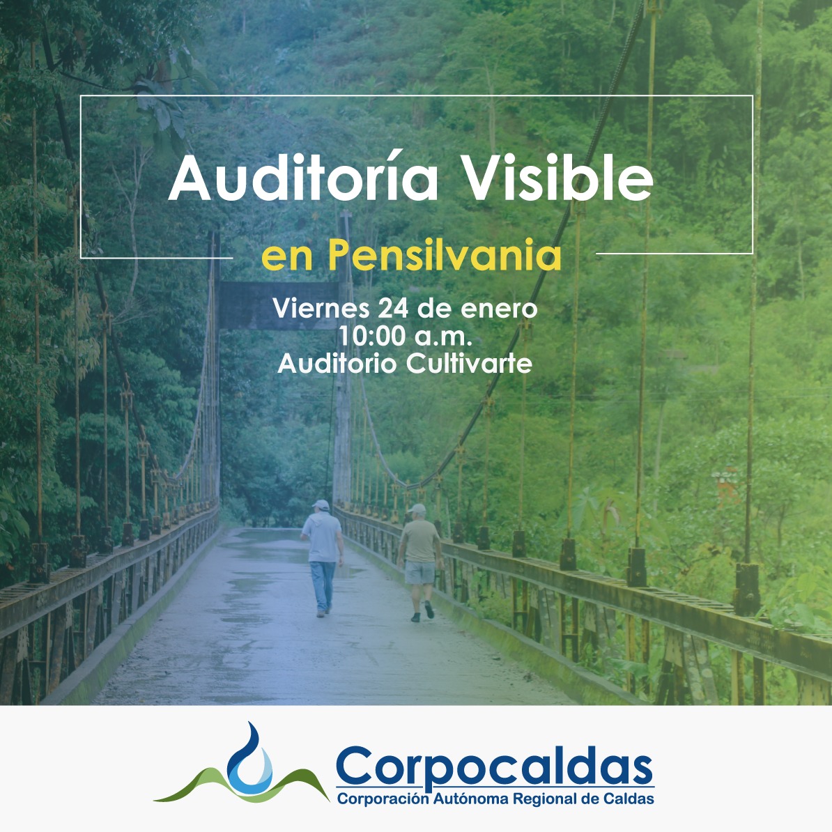 Corpocaldas reconocerá ocho empresas forestales por su transformación y comercialización legal de la madera