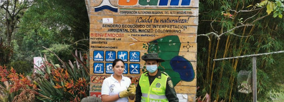 Aumenta la entrega voluntaria y rescate de fauna silvestre en Huila