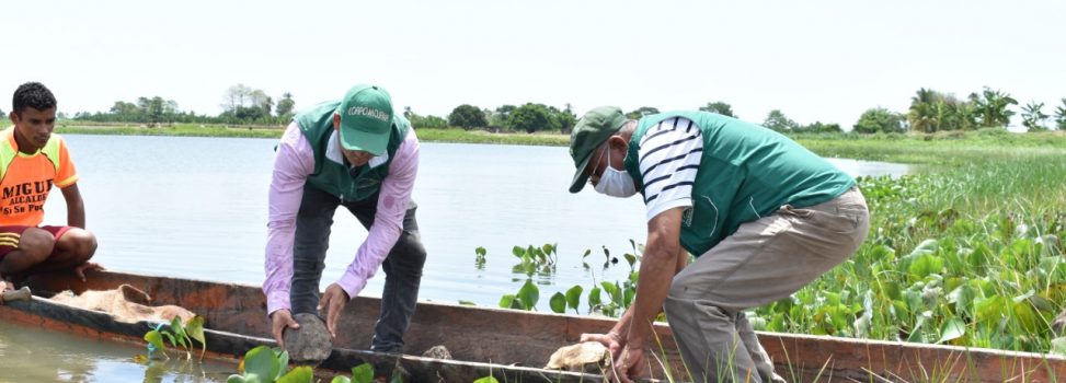 ASOCARS destaca ejercicio de autoridad ambiental de las CAR en la conservación de la diversidad biológica