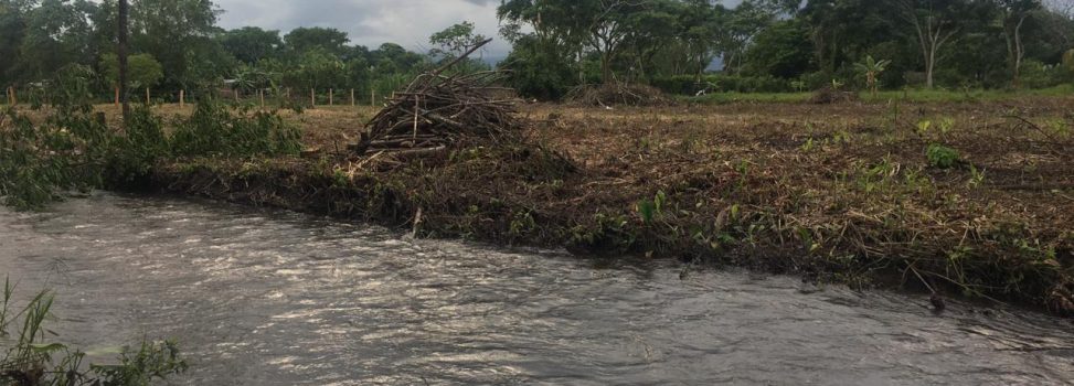 Cuatro operativos para frenar afectaciones ambientales se realizaron en Villavicencio.