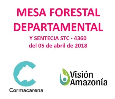 Se crea Mesa Forestal en el departamento del Meta