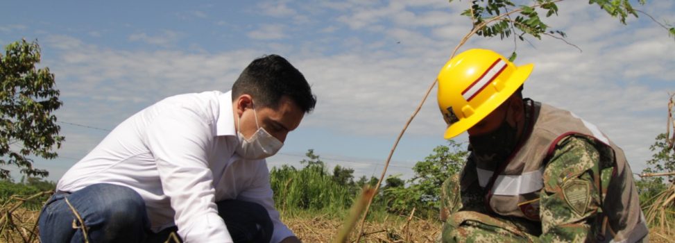 Unas 3.500 especies nativas fueron plantadas en la vereda Caños Negros