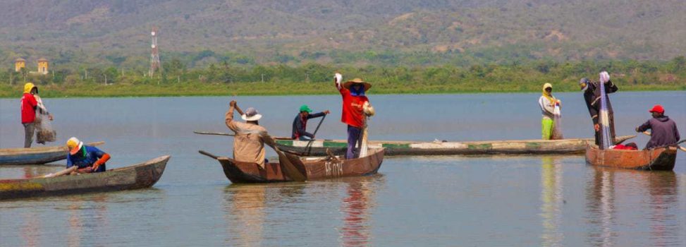 Con el ‘Plan Pescao’, recuperamos especies nativas en embalse del Guajaro: C.R.A