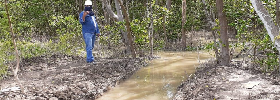 ASÍ FLUYE EL AGUA DULCE EN LOS CAÑOS CLARÍN VIEJO Y NUEVO PARA LA RECUPERACIÓN DE LA CIÉNAGA GRANDE DE SANTA MARTA