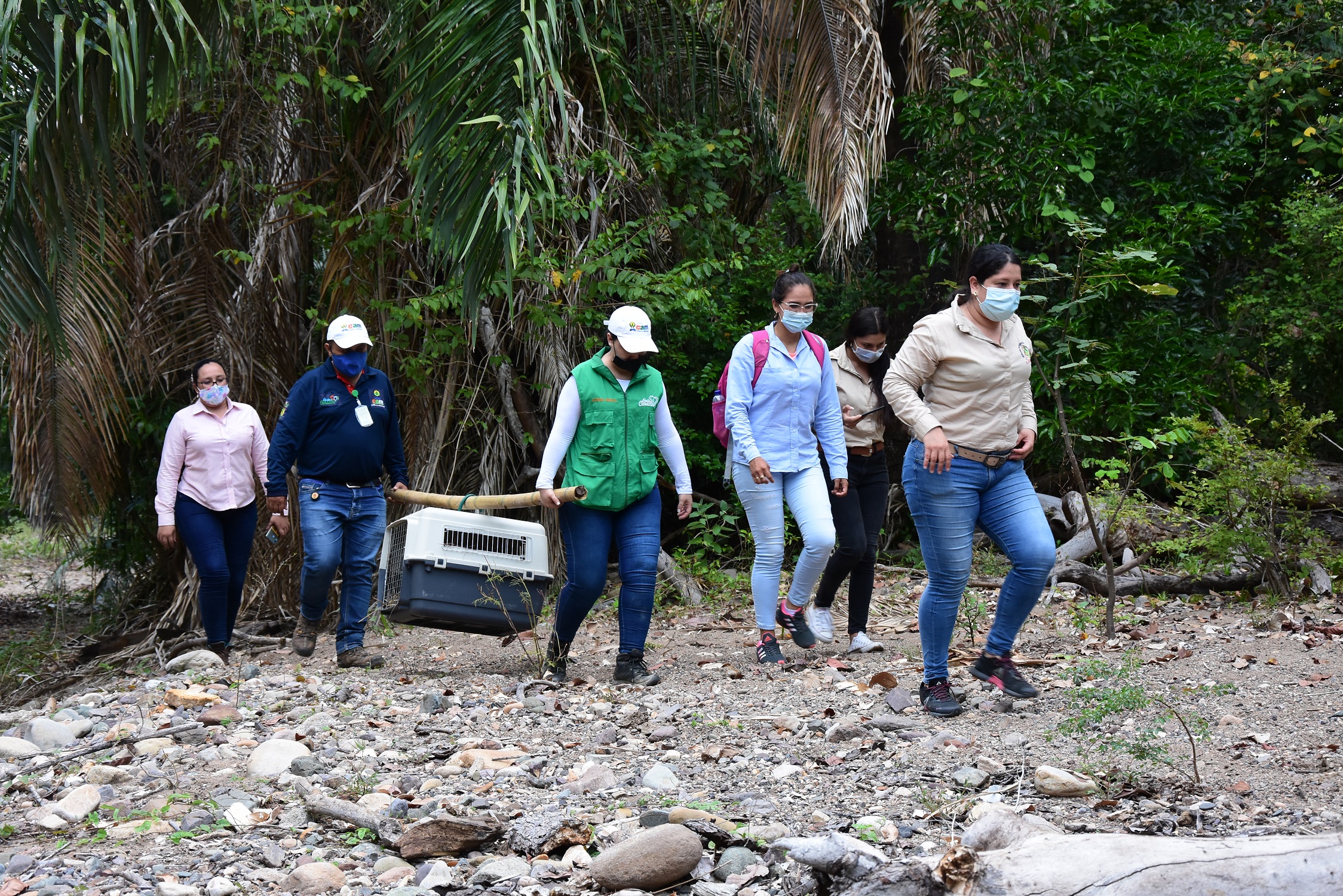 Liberan fauna silvestre en reserva natural del Huila