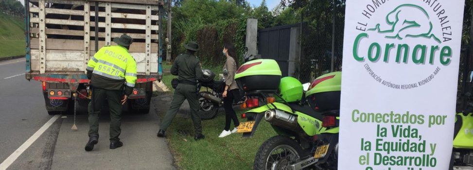 Puerta a puerta y con medidas de bioseguridad, así se adelanta campaña para prevenir el tráfico y tenencia ilegal de fauna silvestre