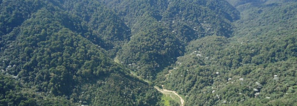 En el Parque Natural Regional Siberia Ceibas no existe ni existirá ningún tipo de actividad minera: CAM