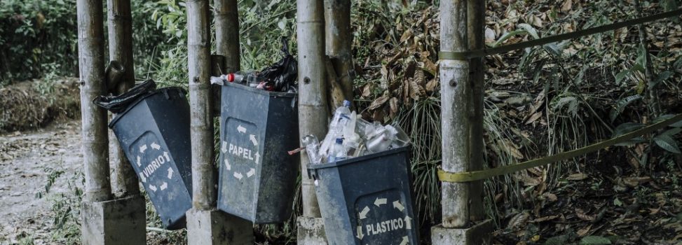 Vandalismo contra los recursos naturales en el cerro de las tres cruces de Popayán