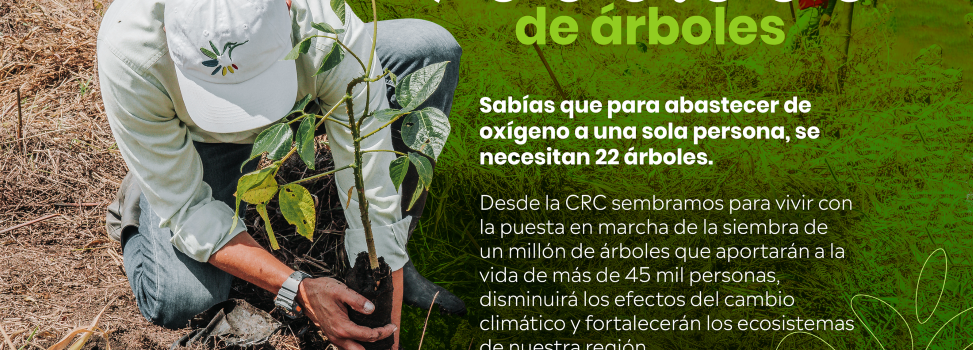 “Sembrar Para Vivir”, una estrategia integral contra el cambio climático