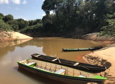 Inicia alianza para proteger delfín rosado y nutria gigante en el Meta