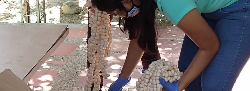 Vivamos Semana Santa en paz con la naturaleza