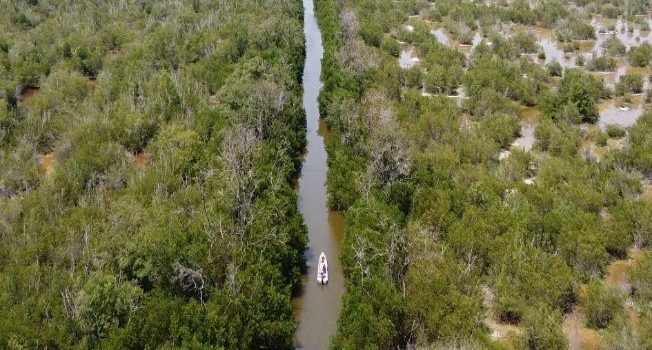 CORPAMAG INICIARÁ OBRAS DE MANTENIMIENTO EN LOS CAÑOS COVADO 1, COVADO 2 Y CALETA DEL TAMBOR, MUNICIPIO DE SITIONUEVO