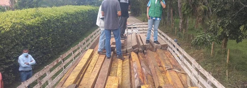 En un duro golpe al transporte ilegal de madera, la CARDER decomisó 138 bloques de caimito