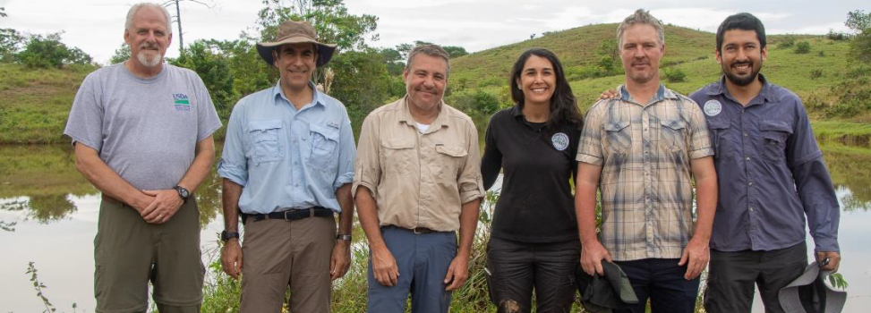 Inicia piloto experimental de inmunocastración con GonaCon en 24 de los hipopótamos del Magdalena Medio