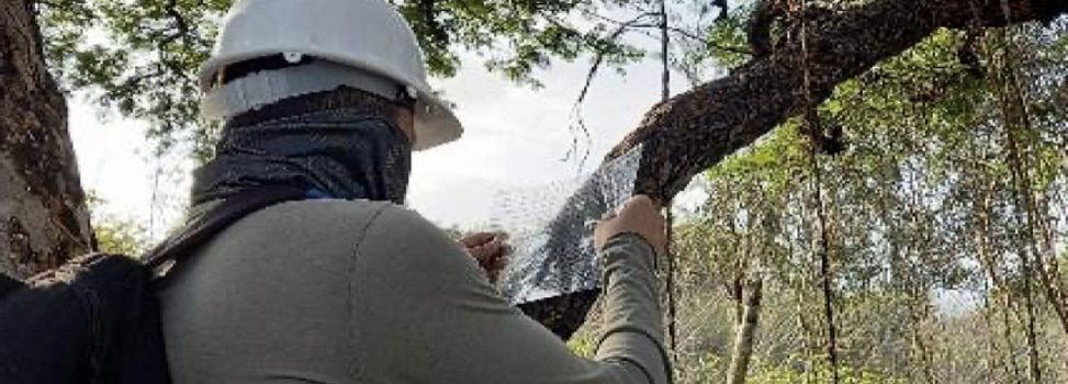 Corpoguajira otorgó permiso de aprovechamiento forestal para la construcción de la nueva cárcel de Riohacha