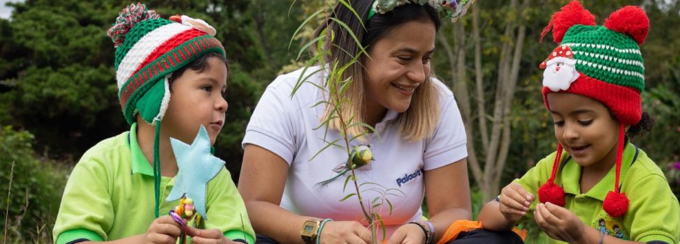 Disfrute navidad en paz con la naturaleza