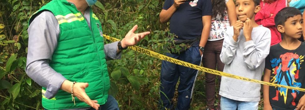 En el área protegida Barbas Bremen vuelan hoy nuevamente 25 loros cabeciazul recuperados por la CARDER