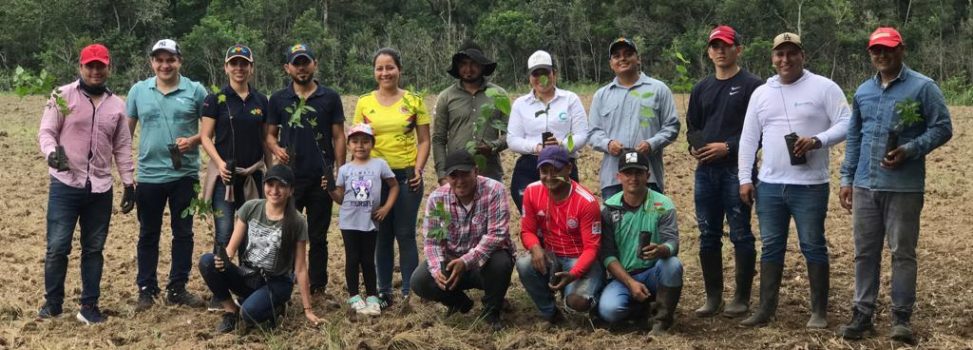 Culmina con éxito la siembra de 270mil árboles en viveros comunitarios de Cormacarena