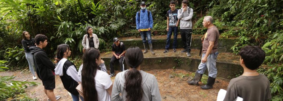 La CARDER destaca la labor que realiza un Hogar de Paso para abejas en Pereira