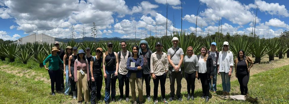 Misión de arquitectos y paisajistas de Noruega se une a colombianos para proyectar un Jardín Botánico de Oriente