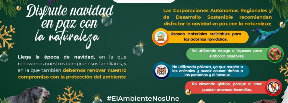 Disfrute navidad en paz con la naturaleza