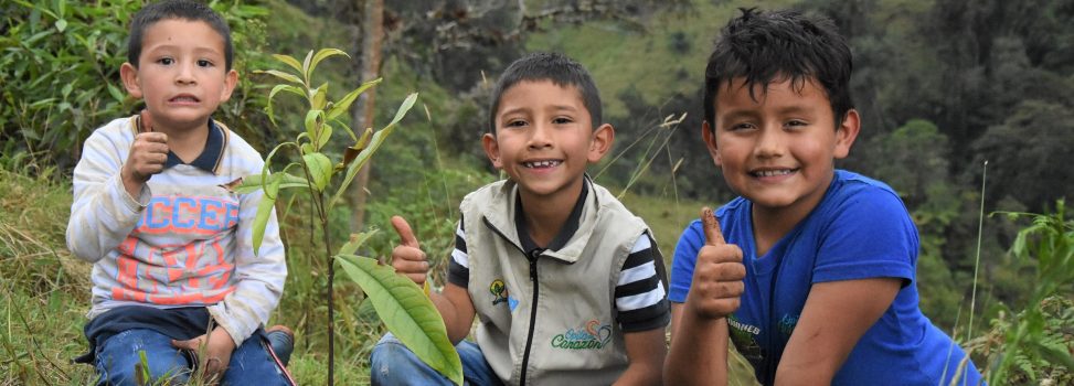 Con huertos escolares, estudiantes del Huila recuperan especies forestales