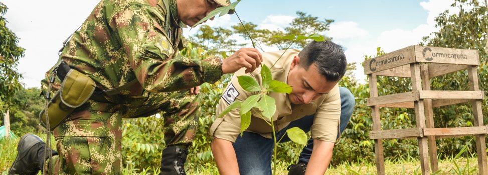 El Meta batirá ‘Récord Guinness’ sembrando 5.000 árboles en un minuto