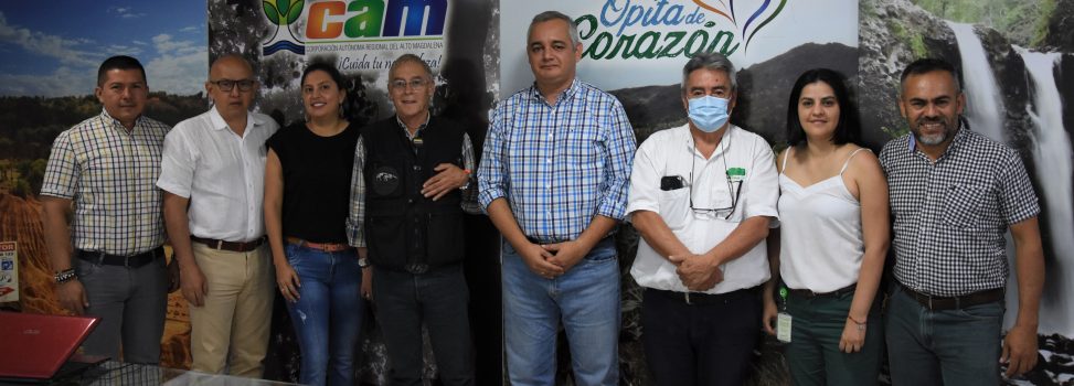 Con proyecto de meliponicultura, buscan fortalecer la productividad del café y la conservación de los bosques en el Huila