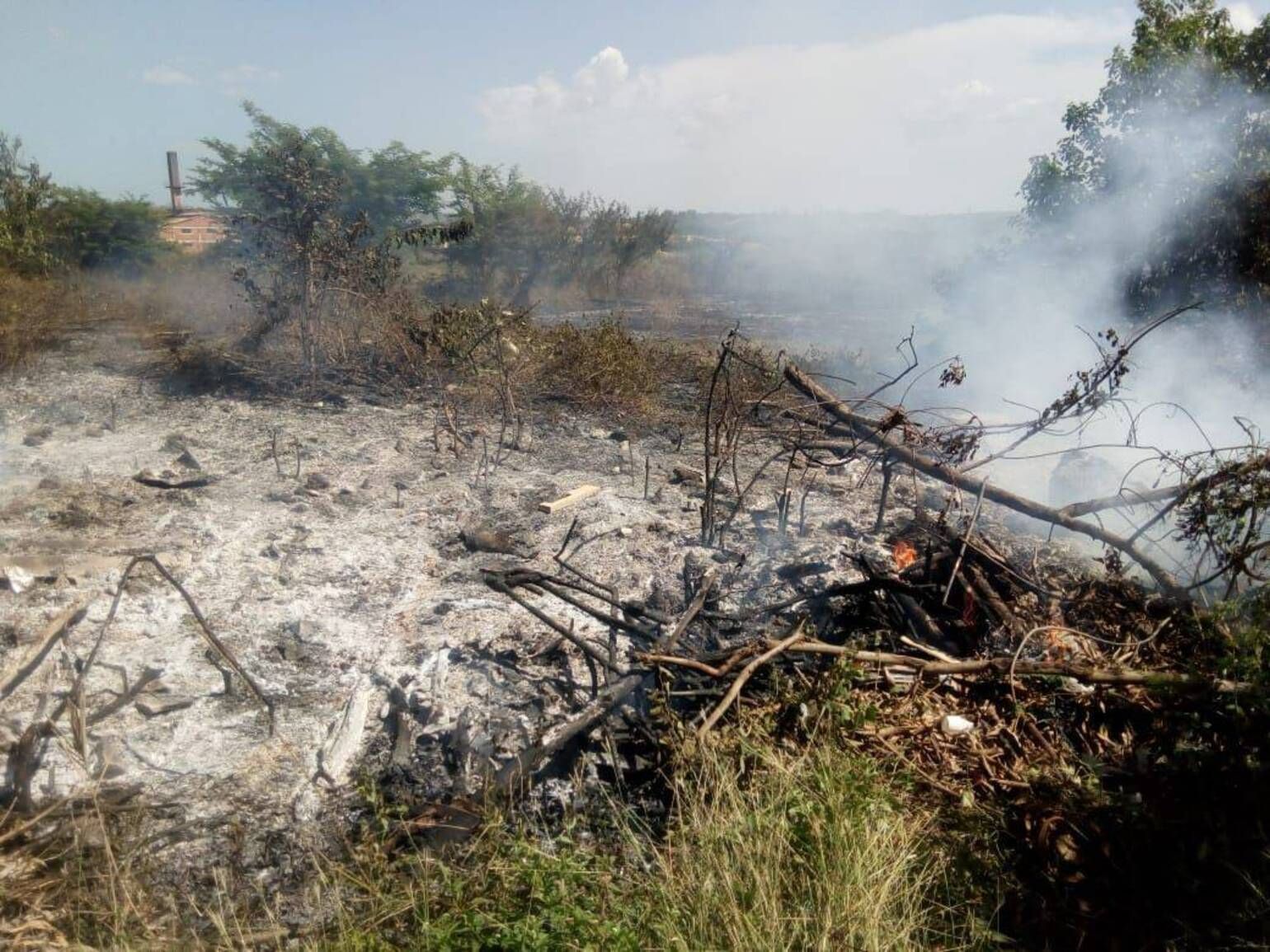 Corpoguajira advierte sobre riesgo de incendios forestales tras detectar 81 puntos de calor en el departamento.