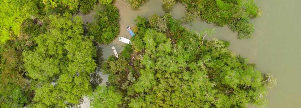 VEREDA GAMBOA, LA NUEVA ÁREA PROTEGIDA DEL VALLE: 2.469 HECTÁREAS EN EL DISTRITO ESPECIAL DE BUENAVETURA