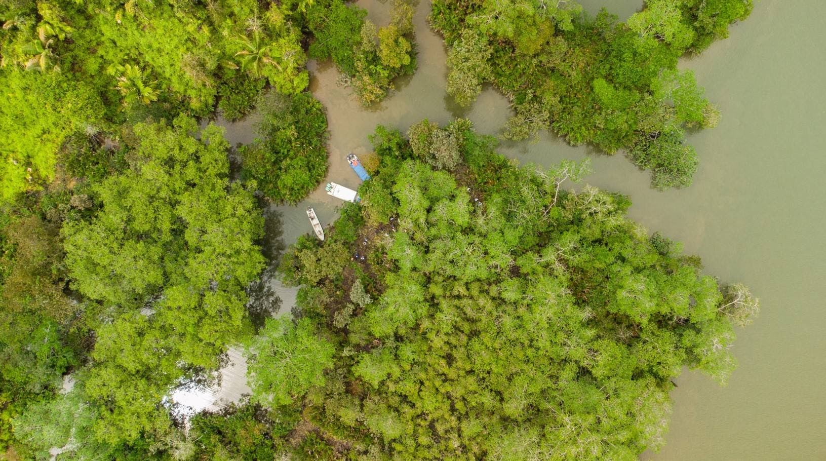 VEREDA GAMBOA, LA NUEVA ÁREA PROTEGIDA DEL VALLE: 2.469 HECTÁREAS EN EL DISTRITO ESPECIAL DE BUENAVETURA