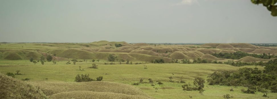 Protegiendo la Altillanura: Una alianza para la conservación y el desarrollo sostenible
