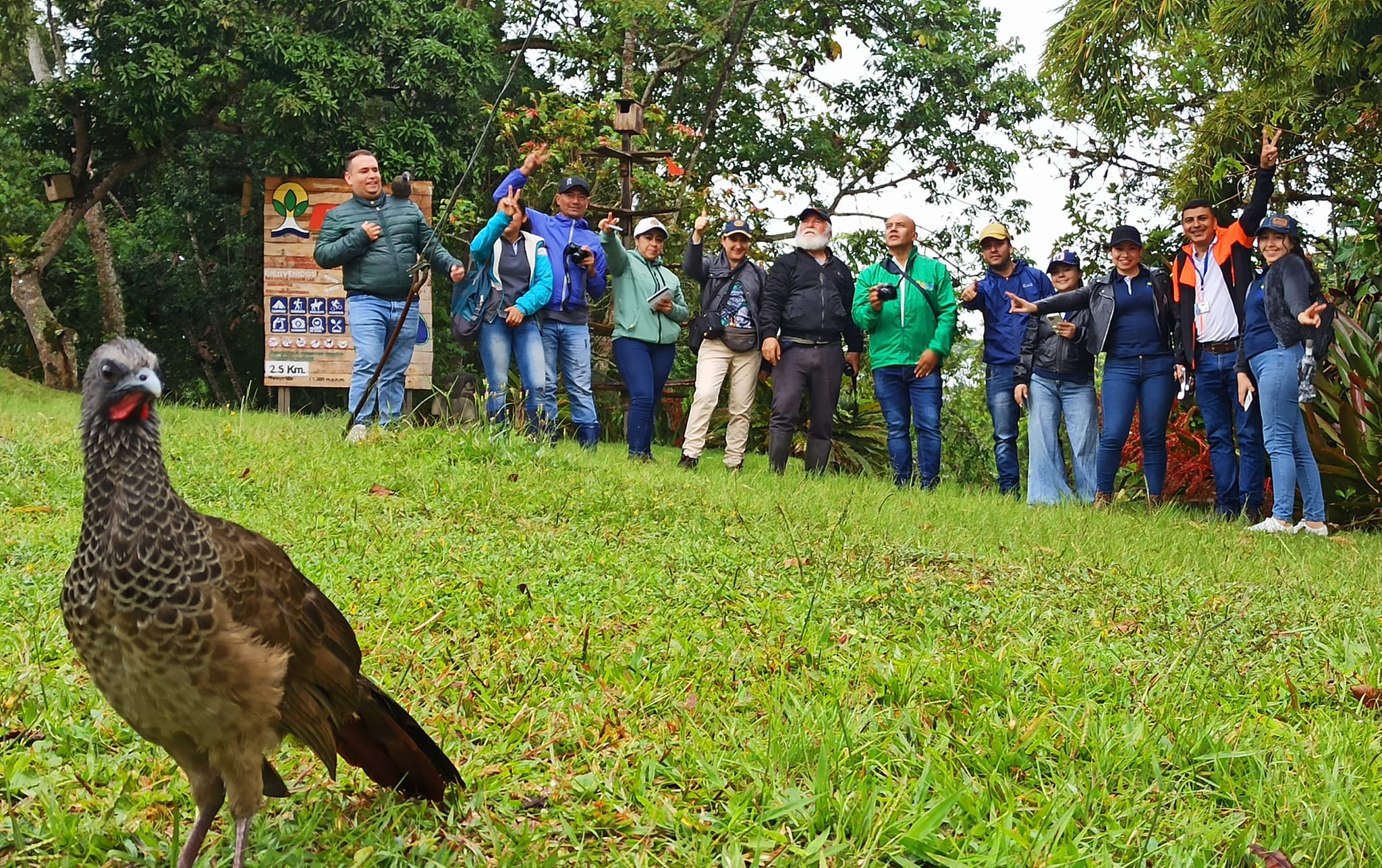 Animales silvestres que no pueden volver a su hábitat, se convierten en embajadores de la educación ambiental