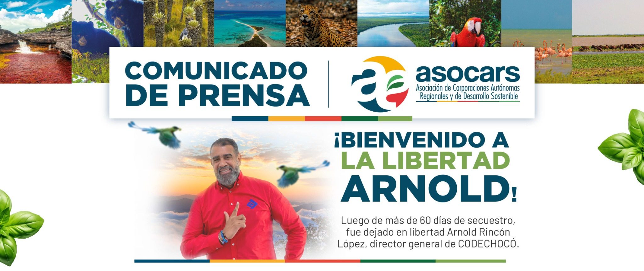 ¡Bienvenido a la libertad Arnold!