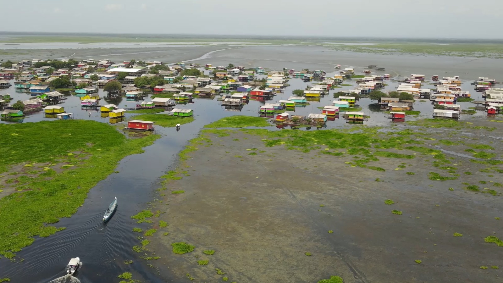 CORPAMAG HACE UN LLAMADO URGENTE AL GOBIERNO NACIONAL PARA ENFRENTAR LA INVASIÓN DE HYDRILLA EN LA CIÉNAGA GRANDE DE SANTA MARTA